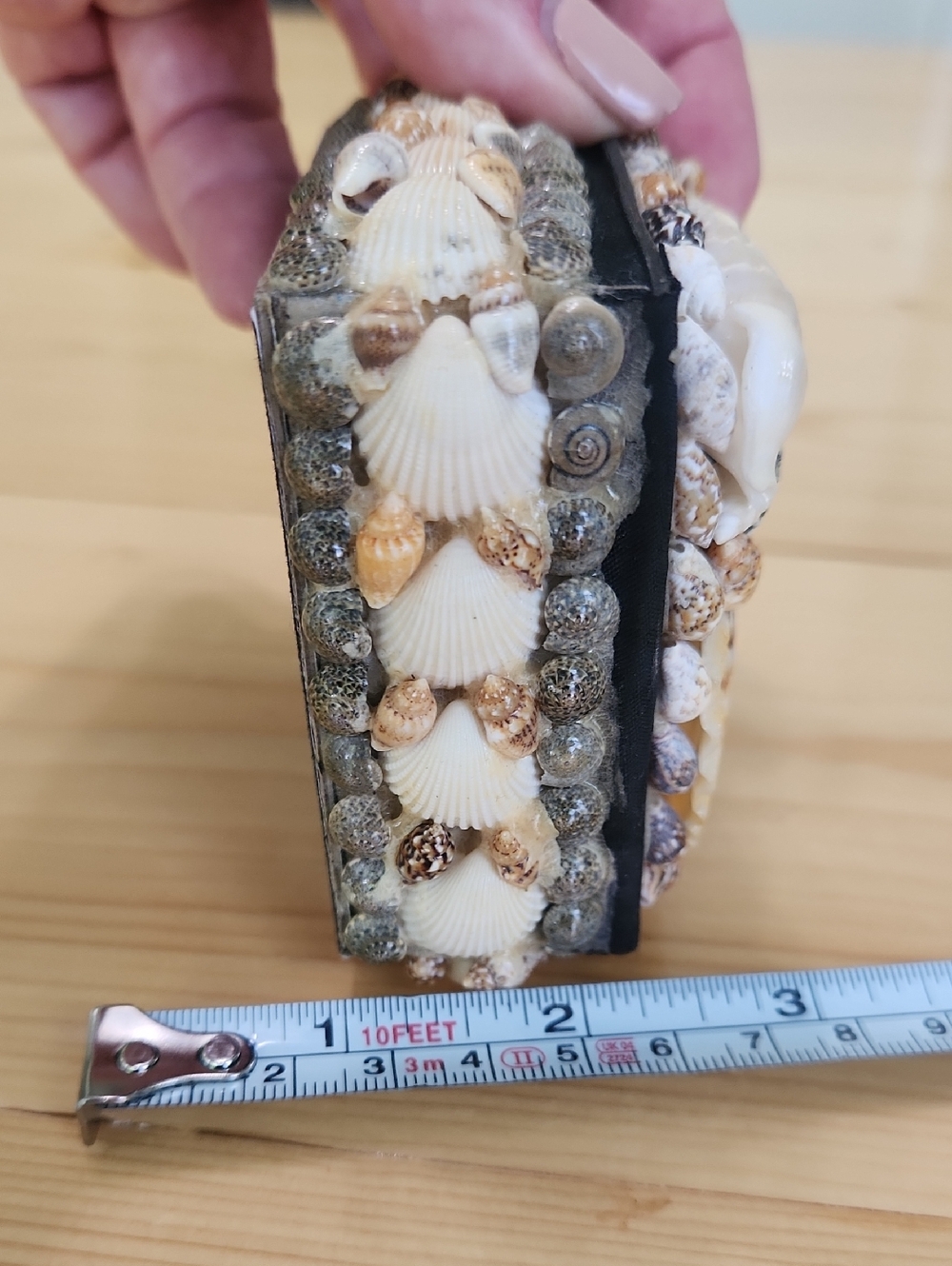 Vintage Sea Shell Trinket Box Black Velvet Lined Coastal Jewelry Keepsake Case - Picture 11 of 13